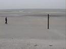 Inhibited Sea - Thumb #1