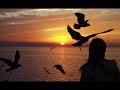 Huecco - si me ayudas a volar
