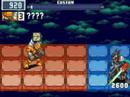 Megaman Battle Network 6: RV Navis Final