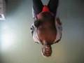 Sarah Palin  (Thong Song)  by Crisco