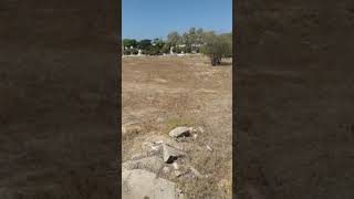 مقبره بدون قبور ..مقبره المجدل عسقلان مقبره بدون قبور ..مقبره المجدل عسقلان