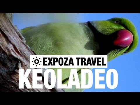Keoladeo Travel Video Guide