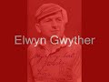 ELWYN GWYTHER