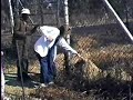 new-battle-at-kruger-lion-vs-buffalo-elephant-part-1-.html