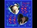 5 judea imyours