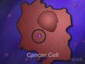 Using p53 to Fight Cancer