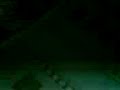 MOV00004.3GP