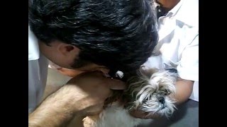 Clinvet: Conheça melhor esta super clínica