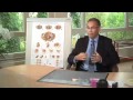  Beckenbodentraining mit Vaginalkonen