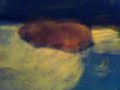 Huber und Hinger - Zaubertrick Hamster