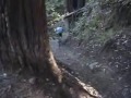 mountain biking santa cruz