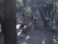 mountain biking santa cruz