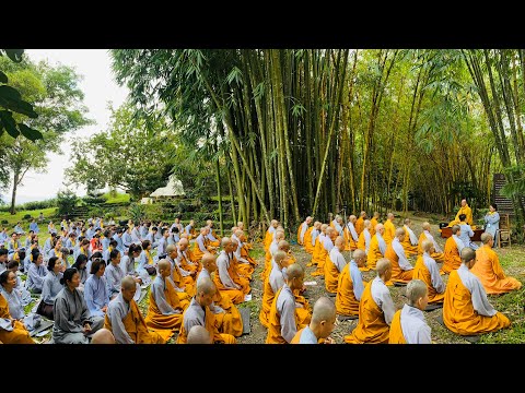 Thiền Quán NIKAYA - Về Núi Yên Tu Đẹp Tuyệt Trần & Thiền Biết Ơn Cha Mẹ