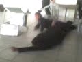karreras de bankas