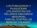 BASURO MIRANDA CAUCA BASURO MIRANDA CAUCA