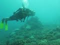 Bali Nusa Penida Drift Dive Bali Nusa Penida Drift Dive