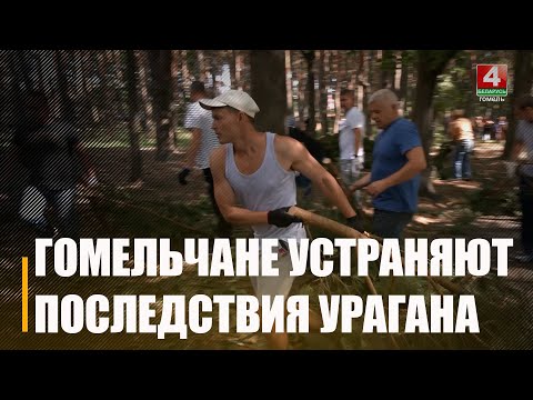 Около 10 000 жителей Гомеля вышли на субботник для ликвидации последствий урагана видео