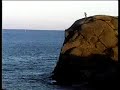 Klippenspringer