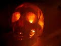 Microwave skull