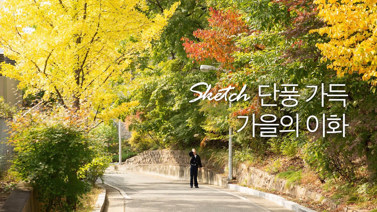 단풍 가득 가을의 이화, 영상스케치