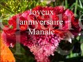 lala-manale