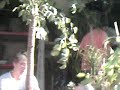 Karneval der Kulturen/Strassenfest