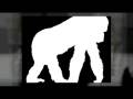 videos de Primate - Fantasma