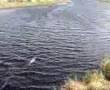 Ireland salmon fishing