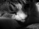 Najcudowniej zatrzymany czas - zatrzymany fotografią... Najcudowniej zatrzymany czas - zatrzymany fotografią...