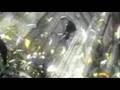 Assistir ao v�deo