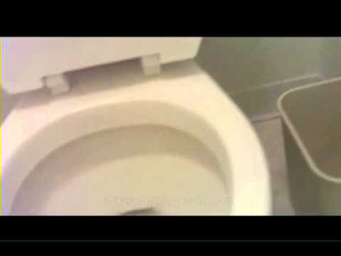 how to effectively unclog a toilet