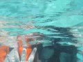 熱浪之旅:清涼海水咸濕濕