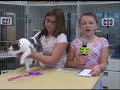 4h-news-all-about-cats.html