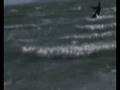 MG Kite Surfing @ Hayling Island