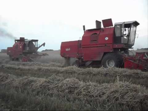 Bizon - 3 kombajny BIZON Rekord Z058 na jednym polu. Akcja jak za dawnych lat w PGR. Foty na: http://www.farmphoto.com/thread.aspx?mid=1049687&pgIdx=0.