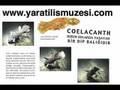YAŞAYAN FOSİL COELACANTH BULUNDU