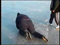 pantelimon patinaj artistic