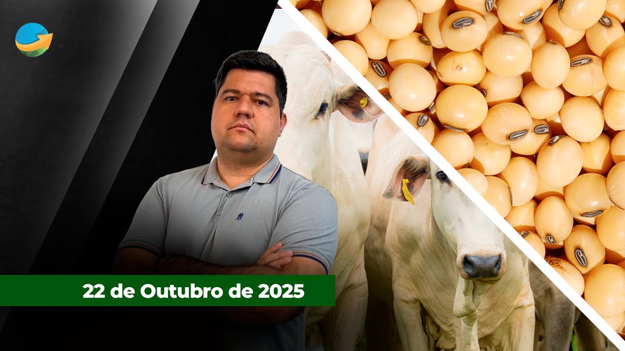 Mercado começa a perder otimismo sobre acordo entre EUA e China, milho e café sobem e açúcar...