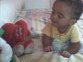 videos de bufalo biu (joão paulo).wmv