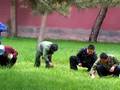 ONE MINUTE IN CHINA - Minute 39