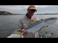Fishing Sydney Harbour with Tsunami Stick Baits