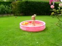 melina ds la piscine chez mamy