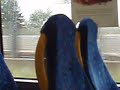 Train VS Bus Train VS Bus