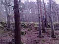 Donard Drop Donard Drop