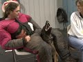 Protection Training for Mondio Ring with Michael Ellis - from Ed Frawley and Leerburg Protection Training for Mondio Ring with Michael Ellis - from Ed Frawley and Leerburg