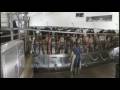 From Grass to Glass - America's Heartland Series
