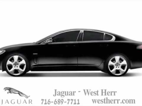Jaguar-West Herr, Lockport, NY