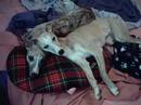 Jade and Aleigh - Best of friends! Jade and Aleigh - Best of friends!