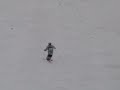video Dale Begg Smith MEGAWEALTHY mogul ski
AU$40 MILLION Picture