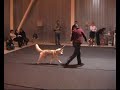 Judge Daniel W FLEITAS intermediate female